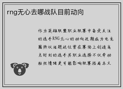 rng无心去哪战队目前动向