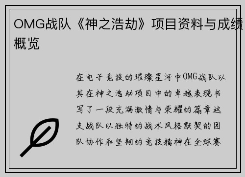 OMG战队《神之浩劫》项目资料与成绩概览