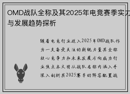 OMD战队全称及其2025年电竞赛季实力与发展趋势探析