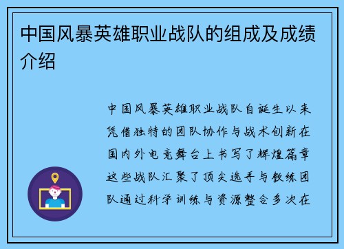 中国风暴英雄职业战队的组成及成绩介绍